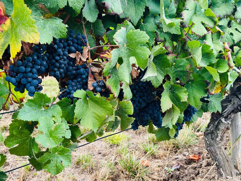 22-09-10 17-33-00 1958